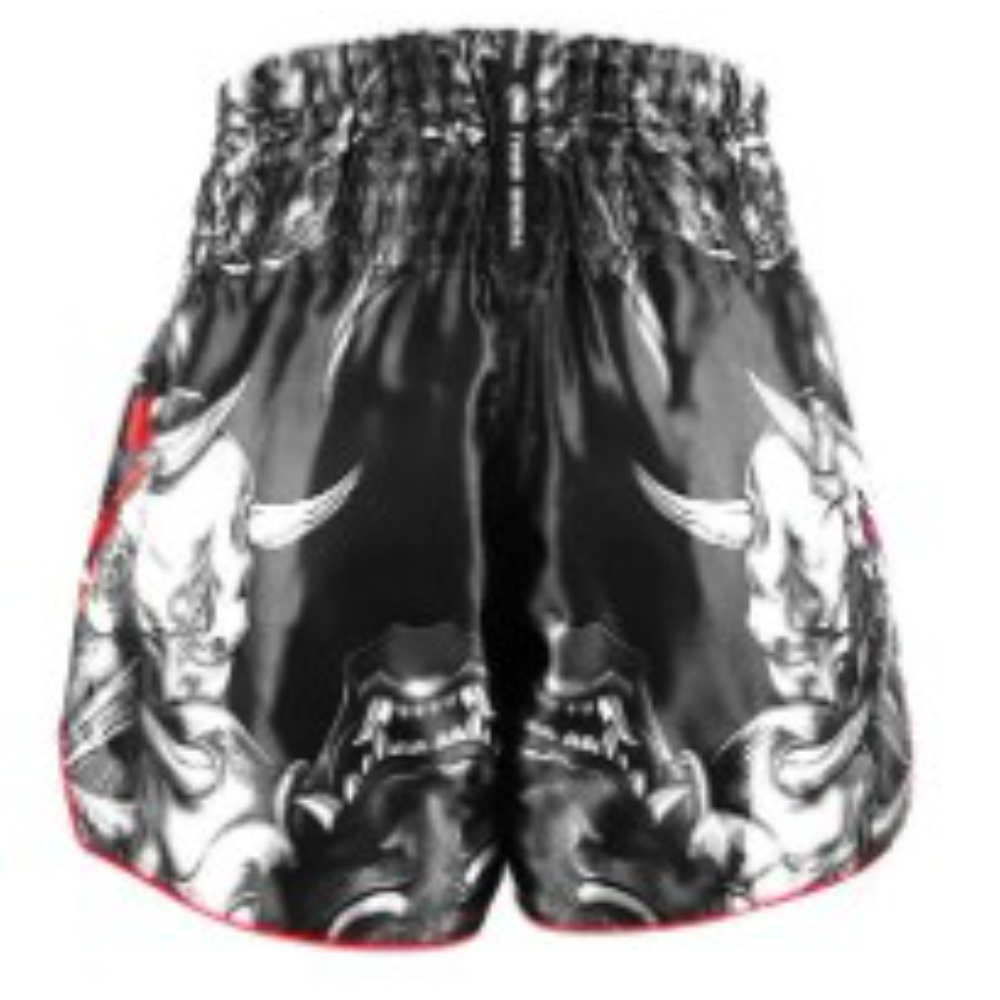 מכנסי אגרוף Twins Special KABUKI