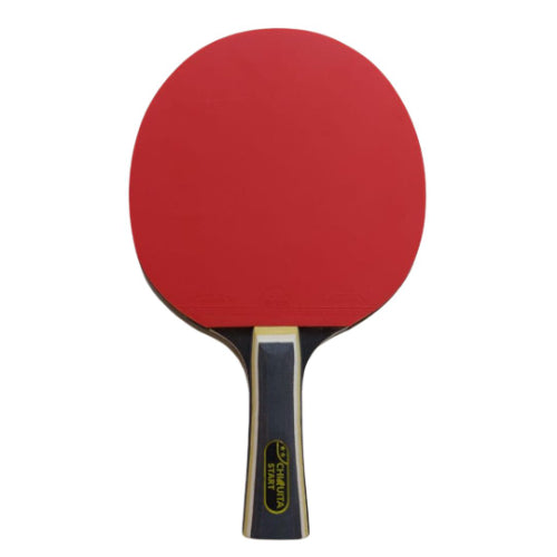 מחבט פינג פונג ברמת 3 כוכבים דגם START- מבית CHIQITA